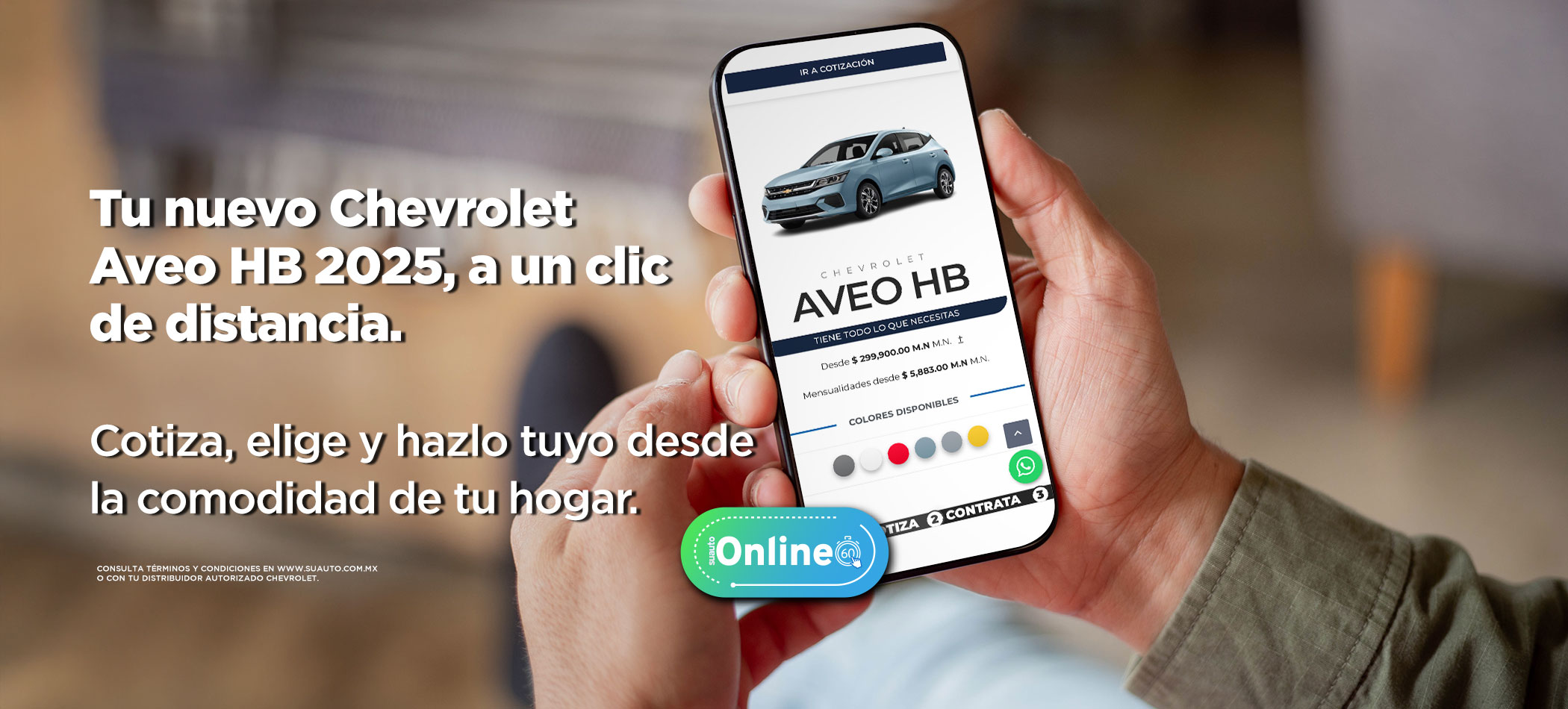 suautoOnlineJunio02