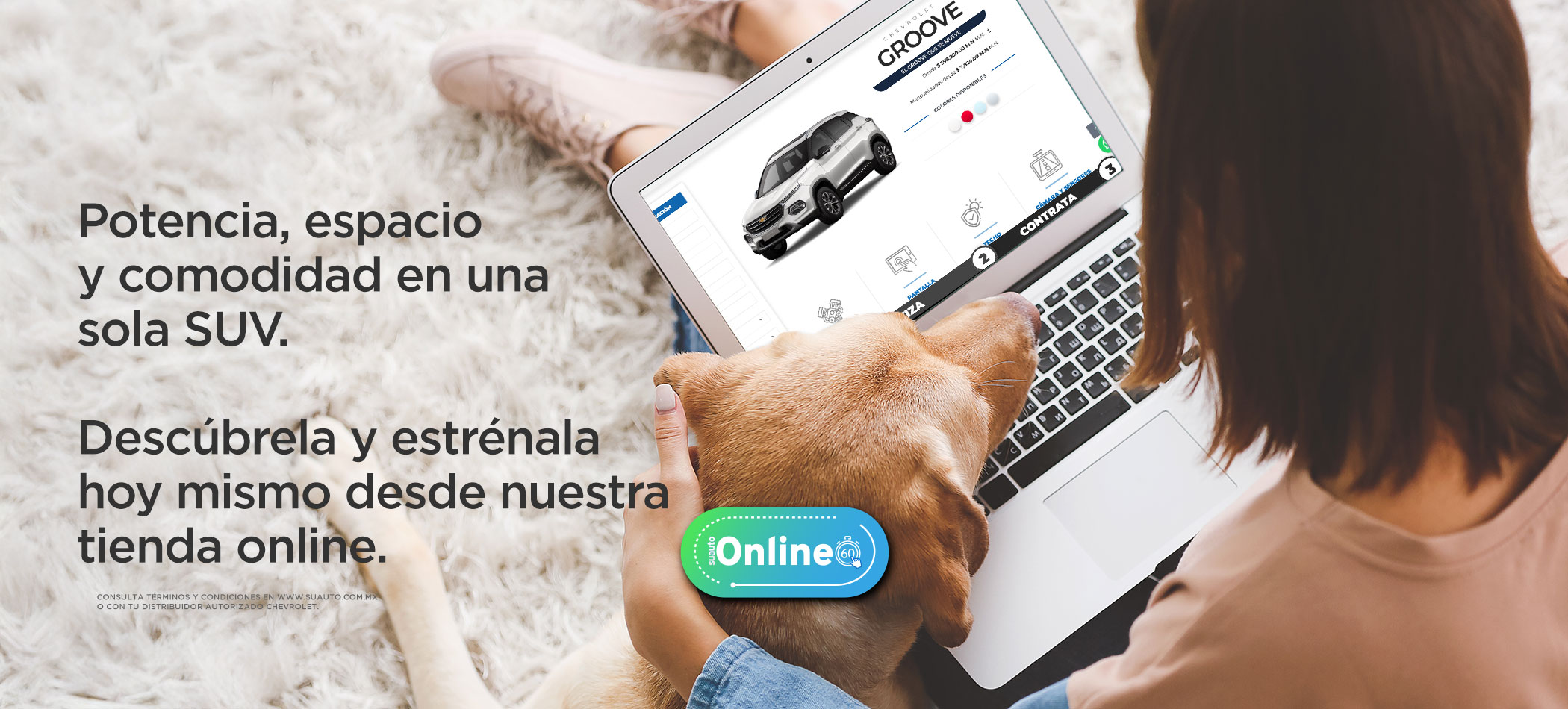 suautoonlineocture02