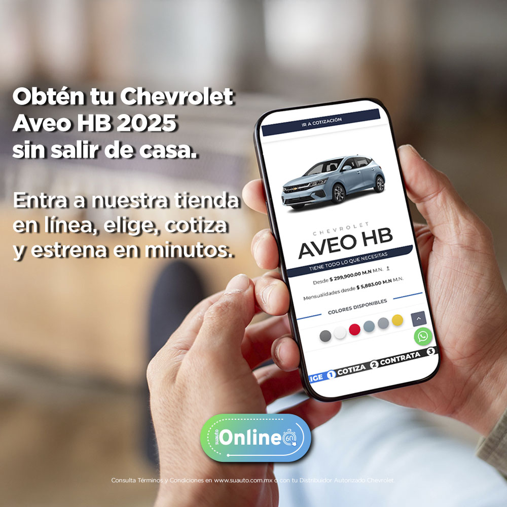 suautoOnlineJunio02