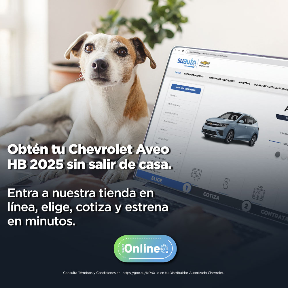 suautoOnlineJunio02