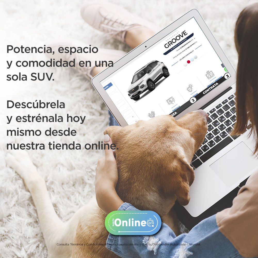 suautoonlineocture02